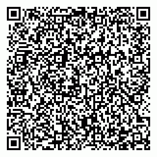 vCard 78122481085