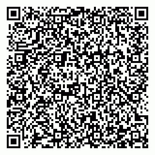 vCard 78122481519