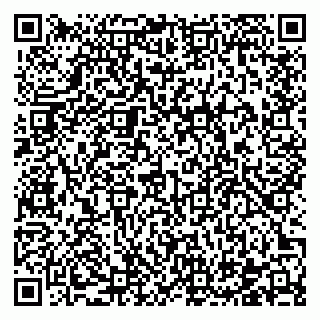 vCard 78122481523