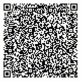 vCard 78122481533
