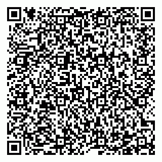 vCard 78122481535