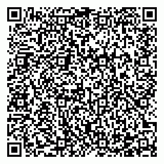 vCard 78122481541