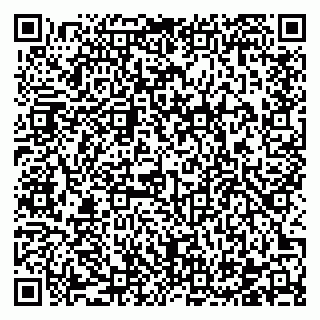 vCard 78122481587