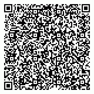 vCard 78122481627