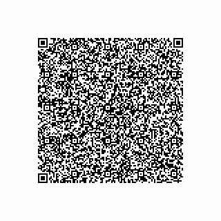 vCard 78122481629