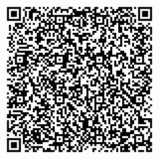 vCard 78122481631