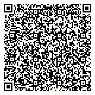 vCard 78122481633