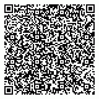 vCard 78122481724
