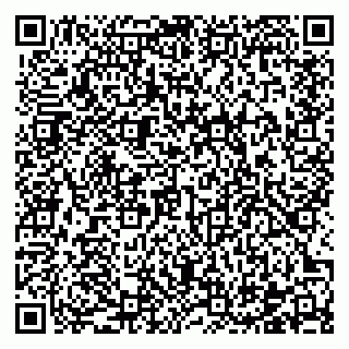 vCard 78122481736