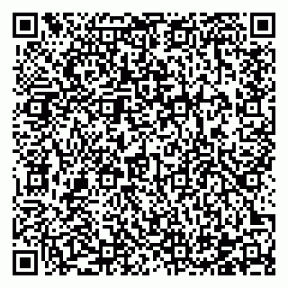 vCard 78122481889
