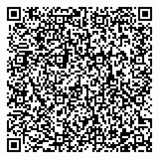 vCard 78122498100