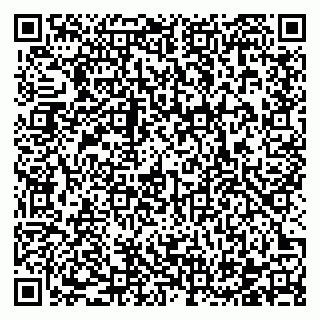 vCard 78122500100