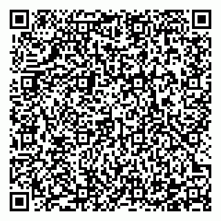 vCard 78122500110
