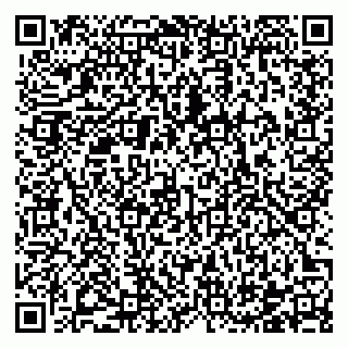 vCard 78122500113