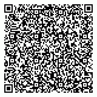 vCard 78122500132