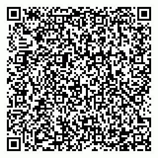vCard 78122500199
