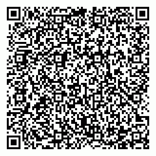 vCard 78122500211