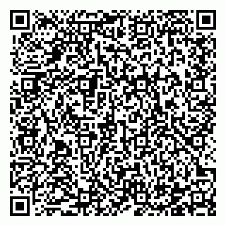 vCard 78122500301