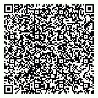 vCard 78122500331
