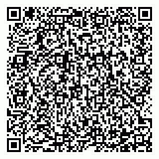 vCard 78122500335