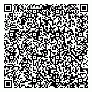vCard 78122500381