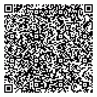 vCard 78122500387