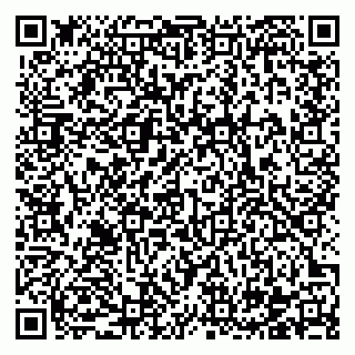 vCard 78122900331