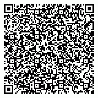 vCard 78122900379