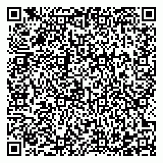 vCard 78122913385