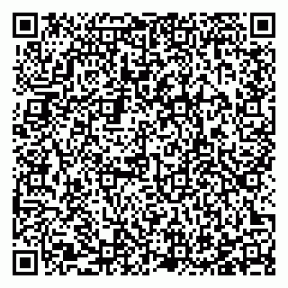 vCard 78123019381