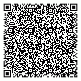 vCard 78123133821