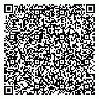 vCard 78123206641