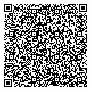 vCard 78123227381