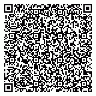 vCard 78123273931