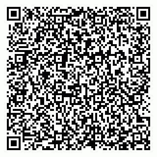 vCard 78123276981