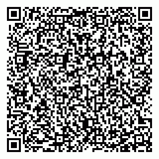 vCard 78123279131