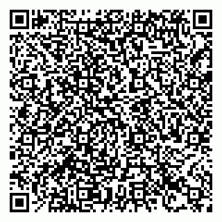 vCard 78123280768