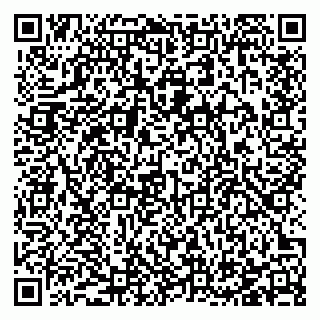 vCard 78123281371