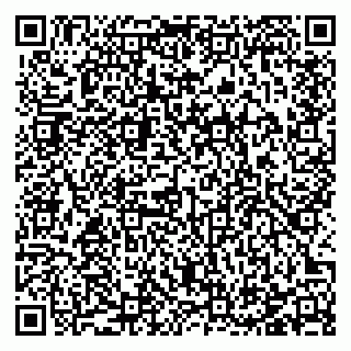 vCard 78123281387
