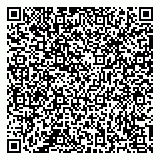 vCard 78123283819