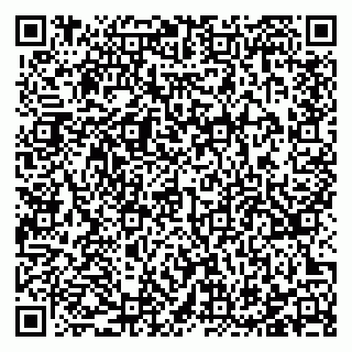 vCard 78123287931