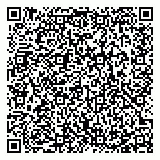 vCard 78123290931