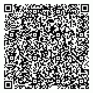 vCard 78123290935