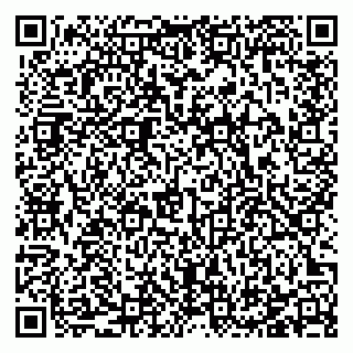 vCard 78123292733