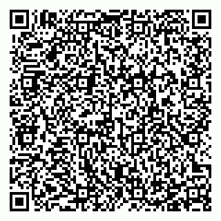 vCard 78123319541