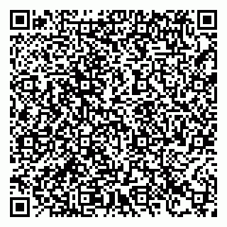 vCard 78123319627