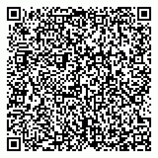 vCard 78123319629