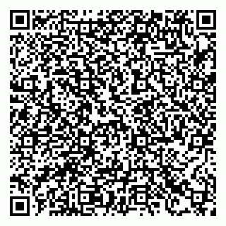 vCard 78123321931