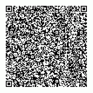 vCard 78123326381