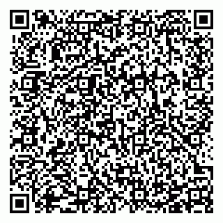 vCard 78123330879